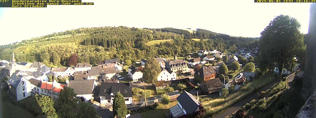 Camera Live Image